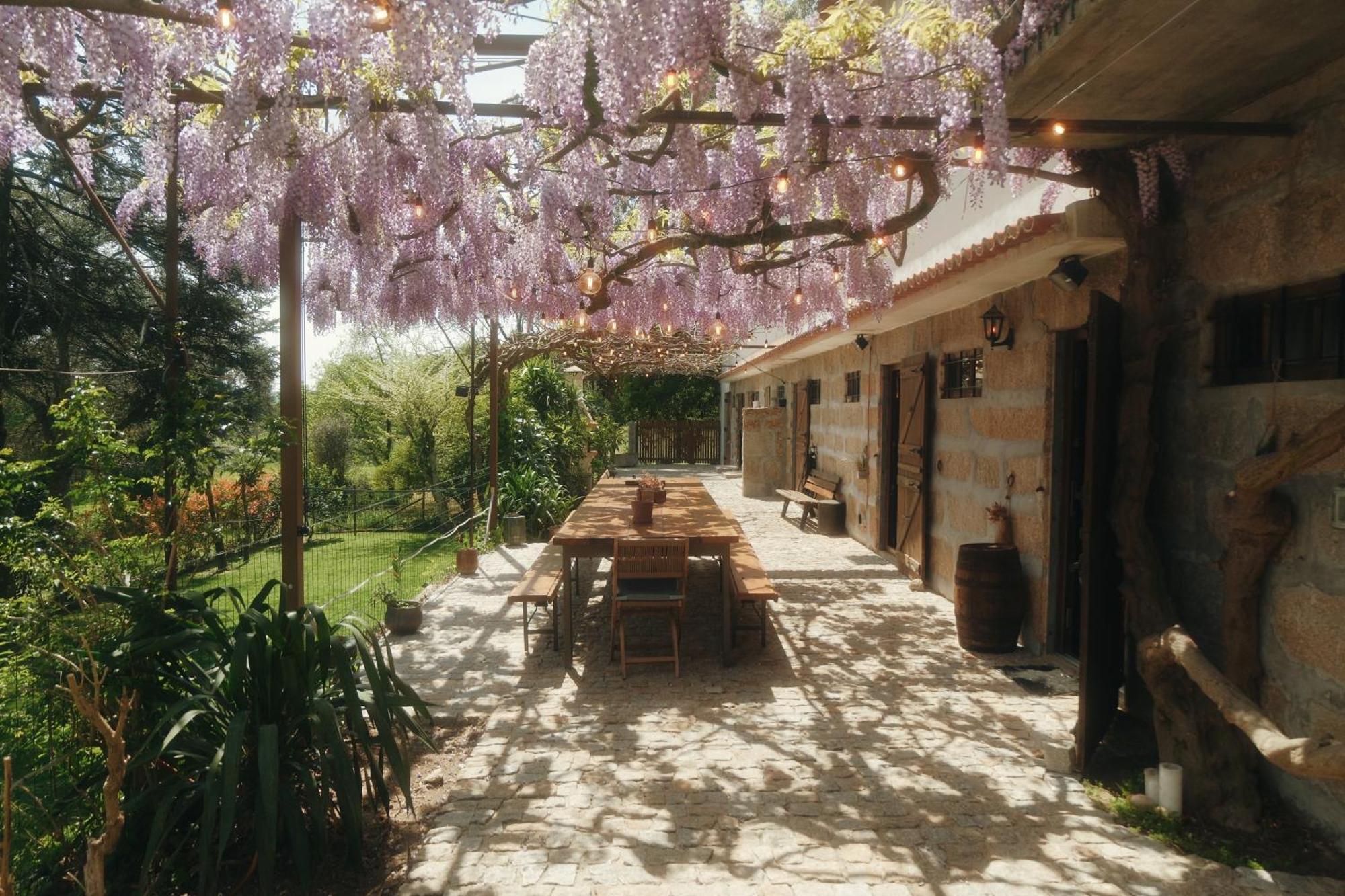 Casa Da Alvarinha Privacidade Conforto Natureza パレデス エクステリア 写真