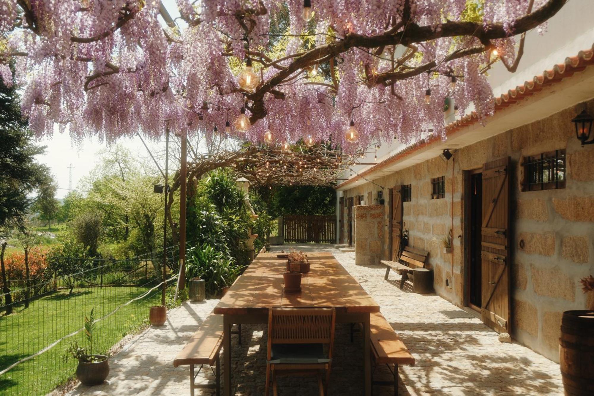 Casa Da Alvarinha Privacidade Conforto Natureza パレデス エクステリア 写真