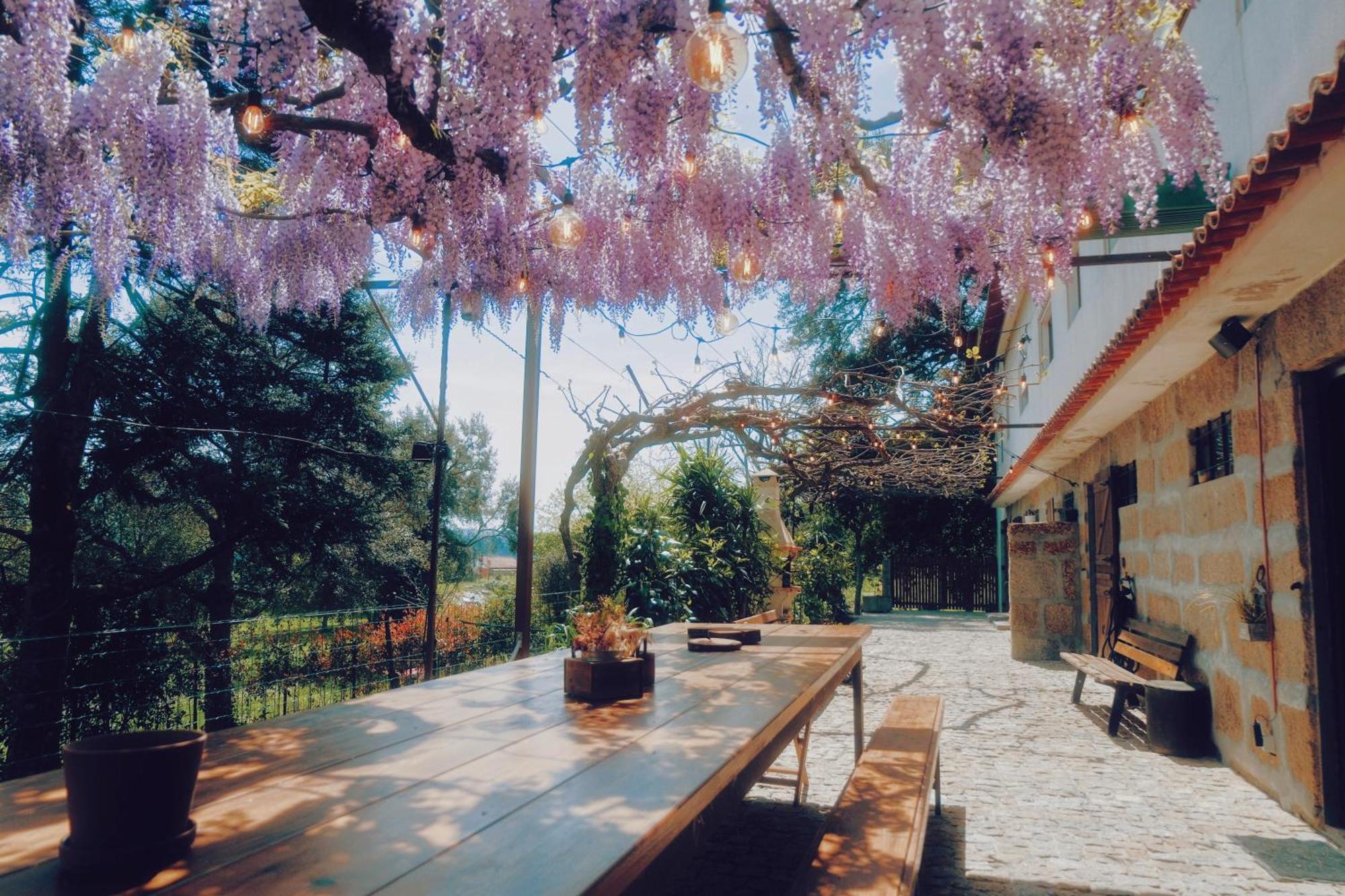 Casa Da Alvarinha Privacidade Conforto Natureza パレデス エクステリア 写真