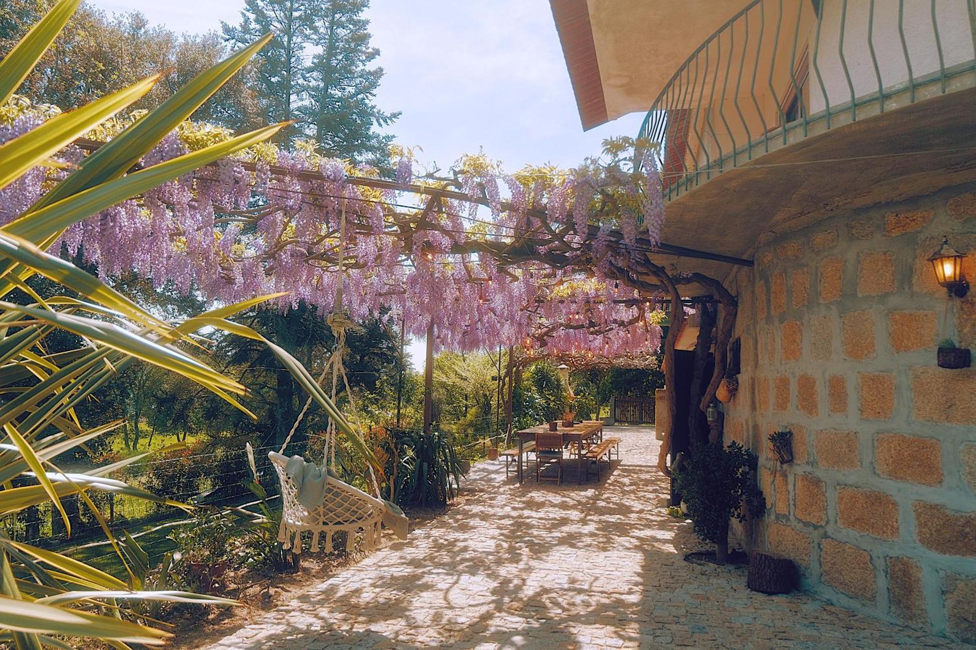Casa Da Alvarinha Privacidade Conforto Natureza パレデス エクステリア 写真