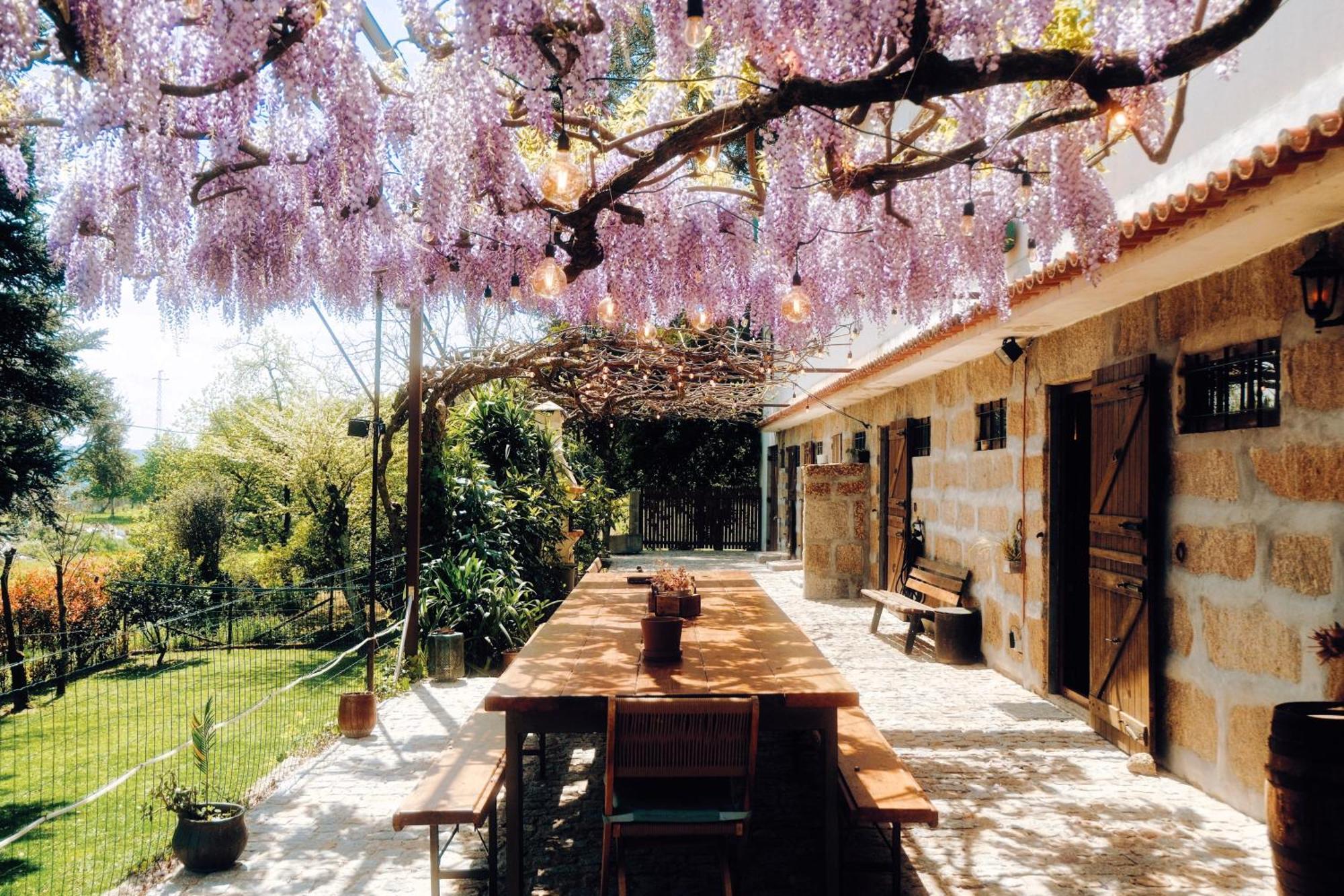 Casa Da Alvarinha Privacidade Conforto Natureza パレデス エクステリア 写真